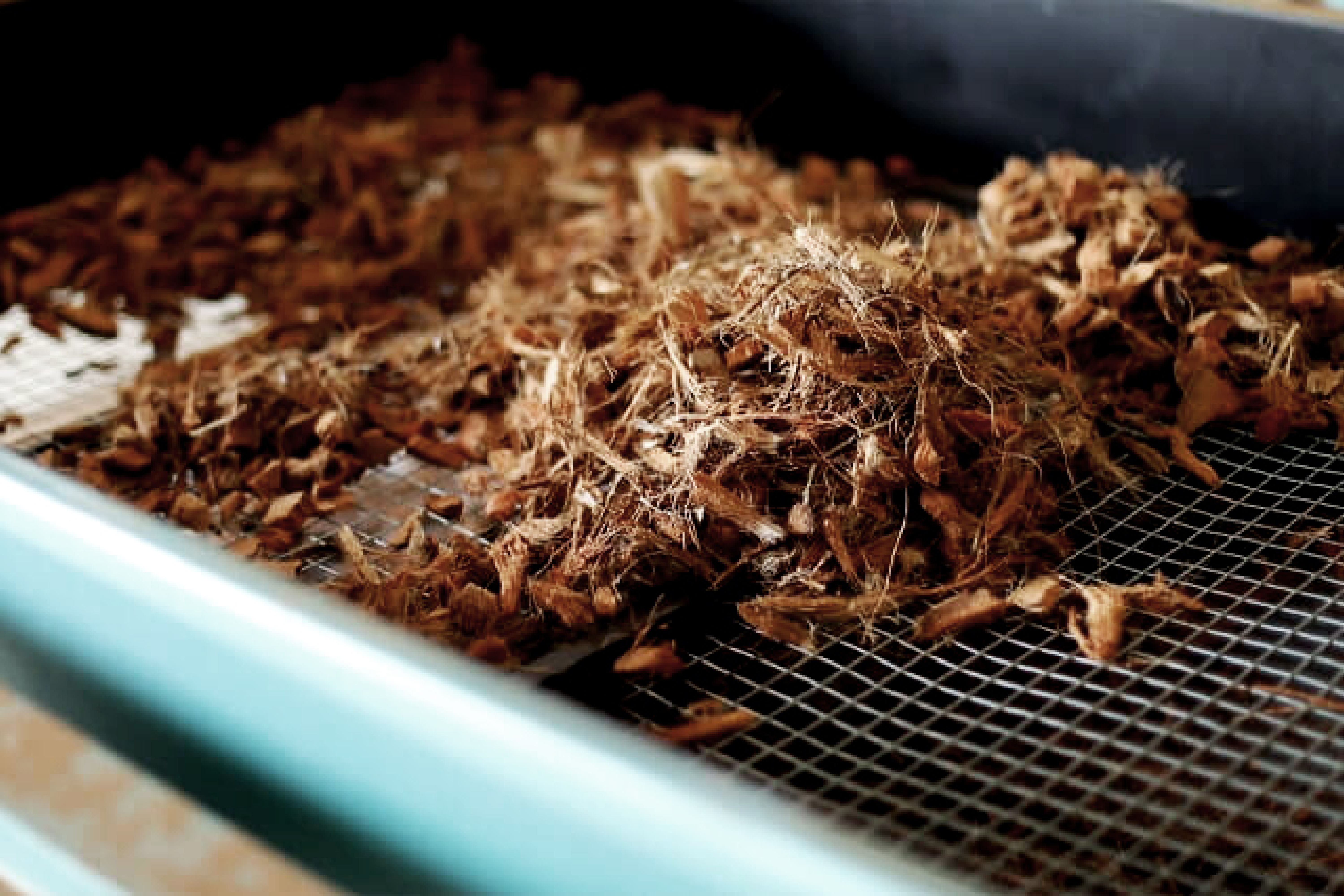 OUR STORY Background