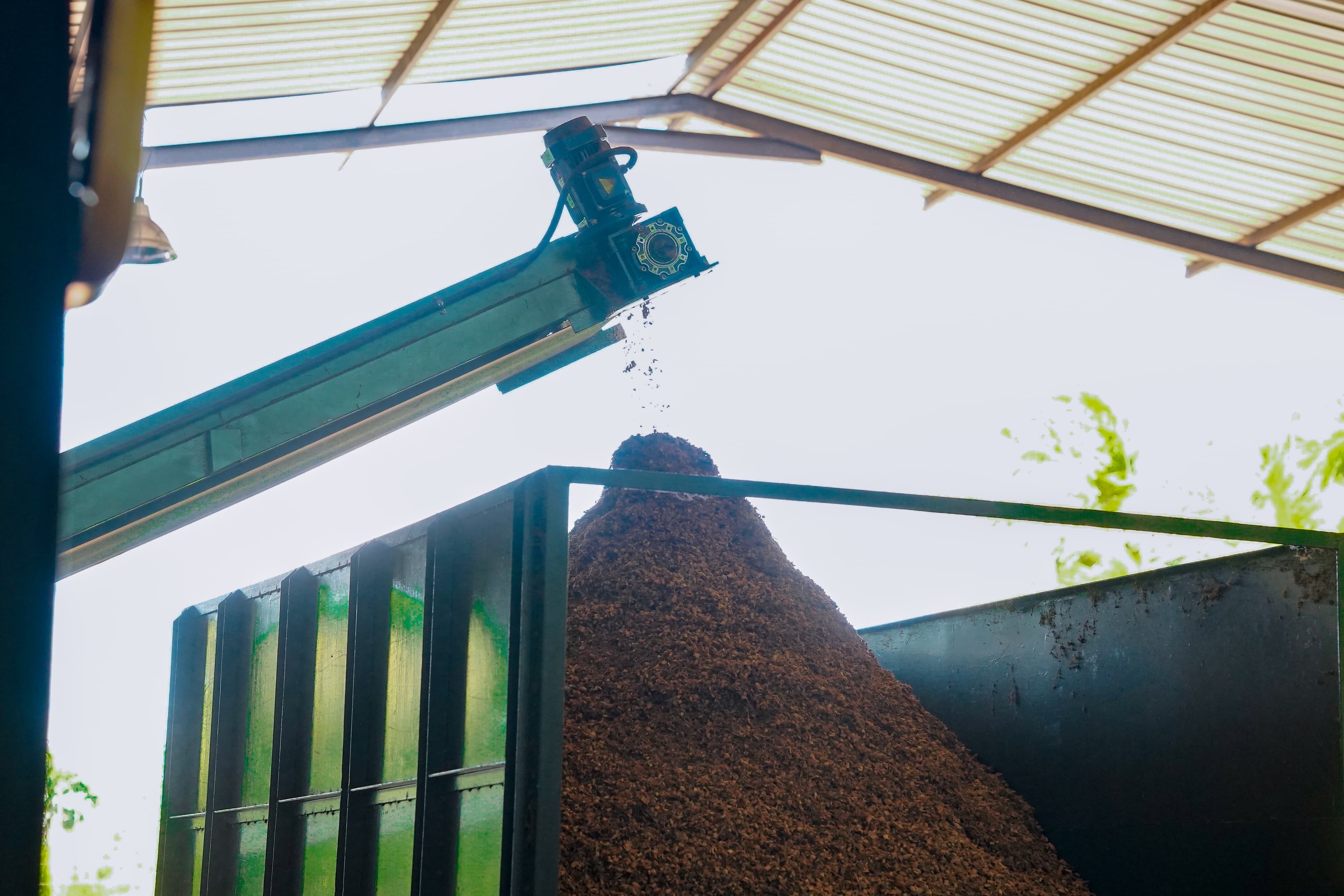 Coconut oil processing