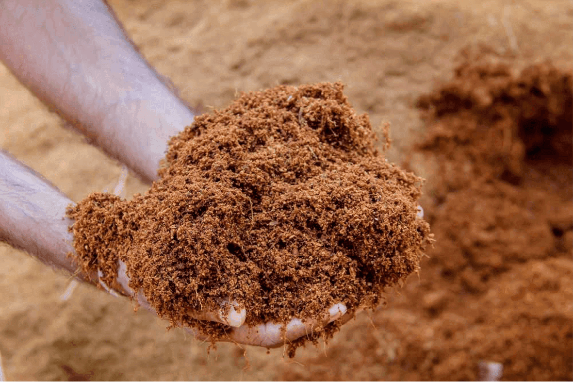 Raw Coco Peat