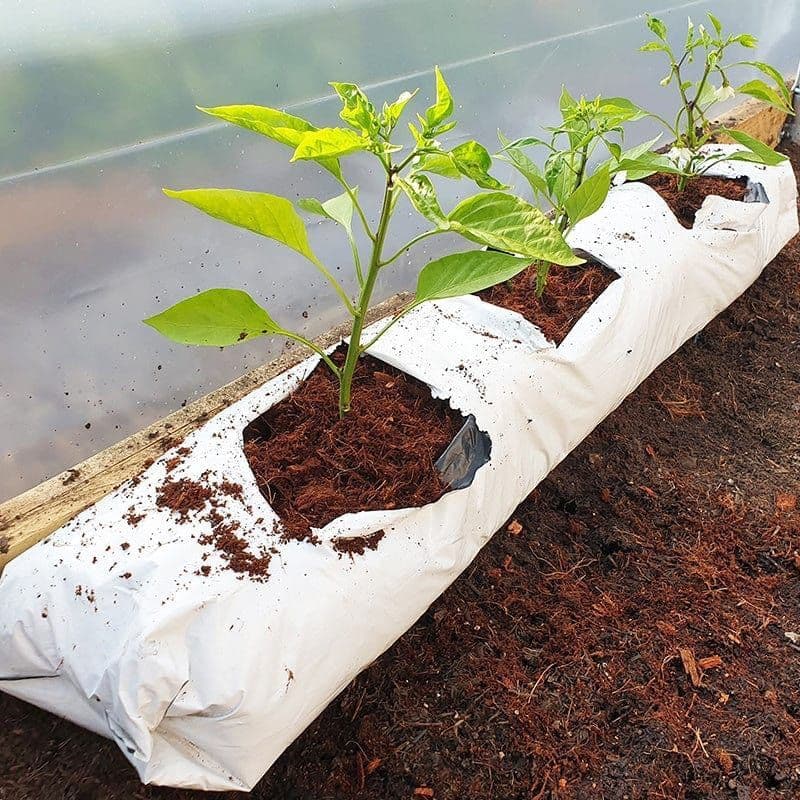 Coco Peat Grow Bag